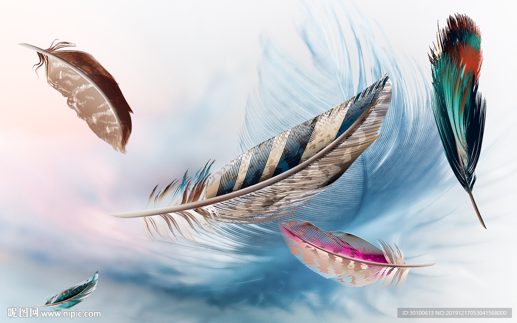 羽毛 精美 装饰画 TIF分层