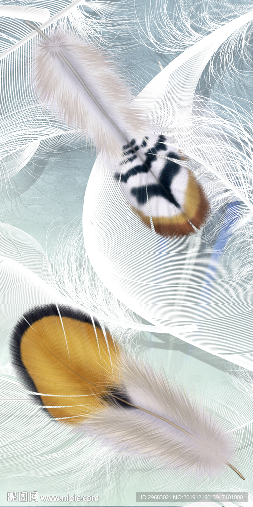 羽毛 精美玄关画 TIF分层