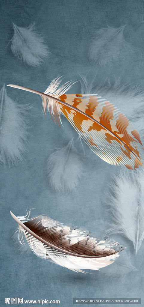 羽毛最新玄关画 TIF分层