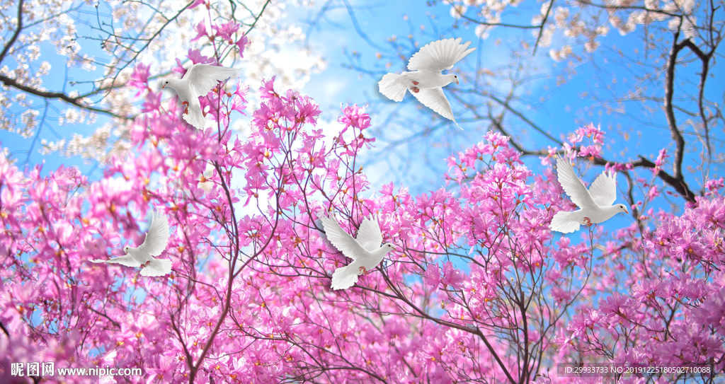 鸽子樱花树天花背景墙