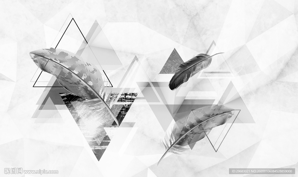 羽毛 装饰高端画 TIF分层