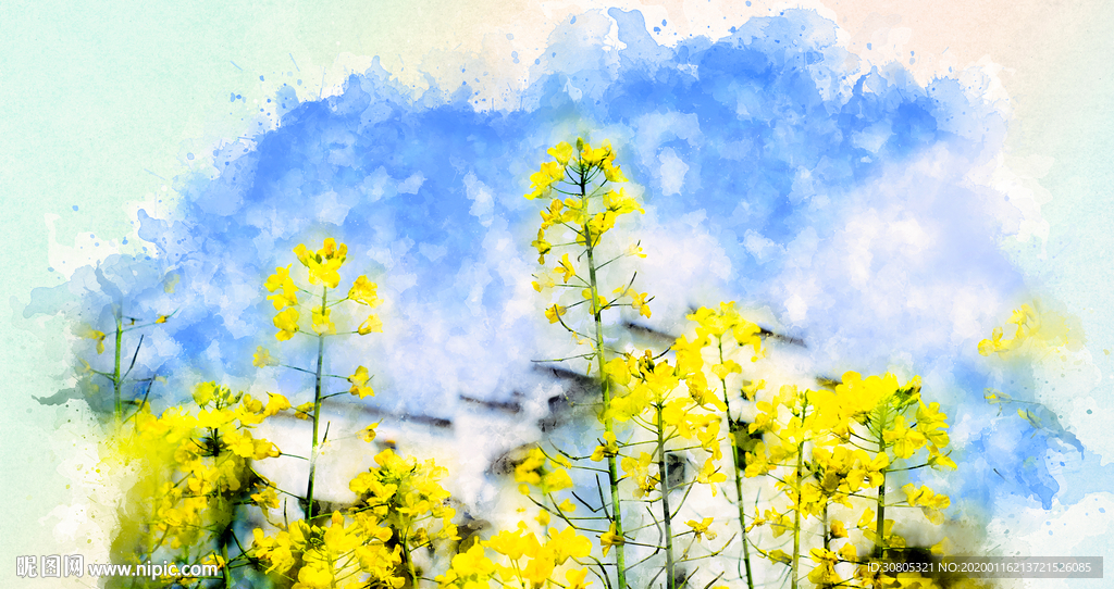 春景油菜花水彩画