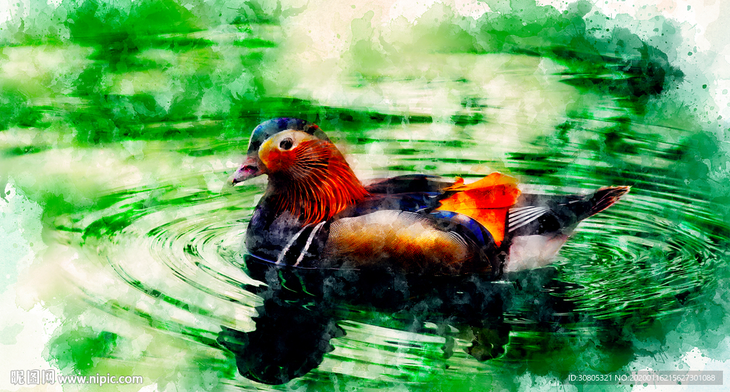 水中鸳鸯水彩画