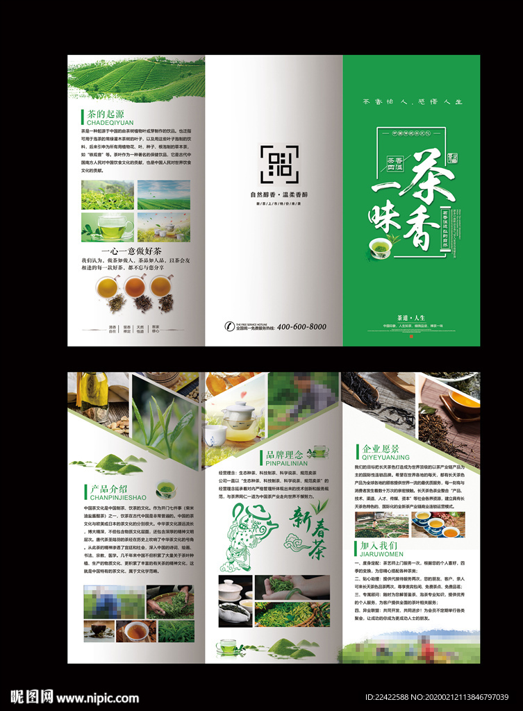 春茶介绍茶叶宣传三折页