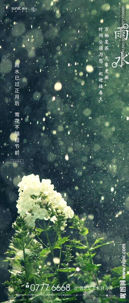 雨水