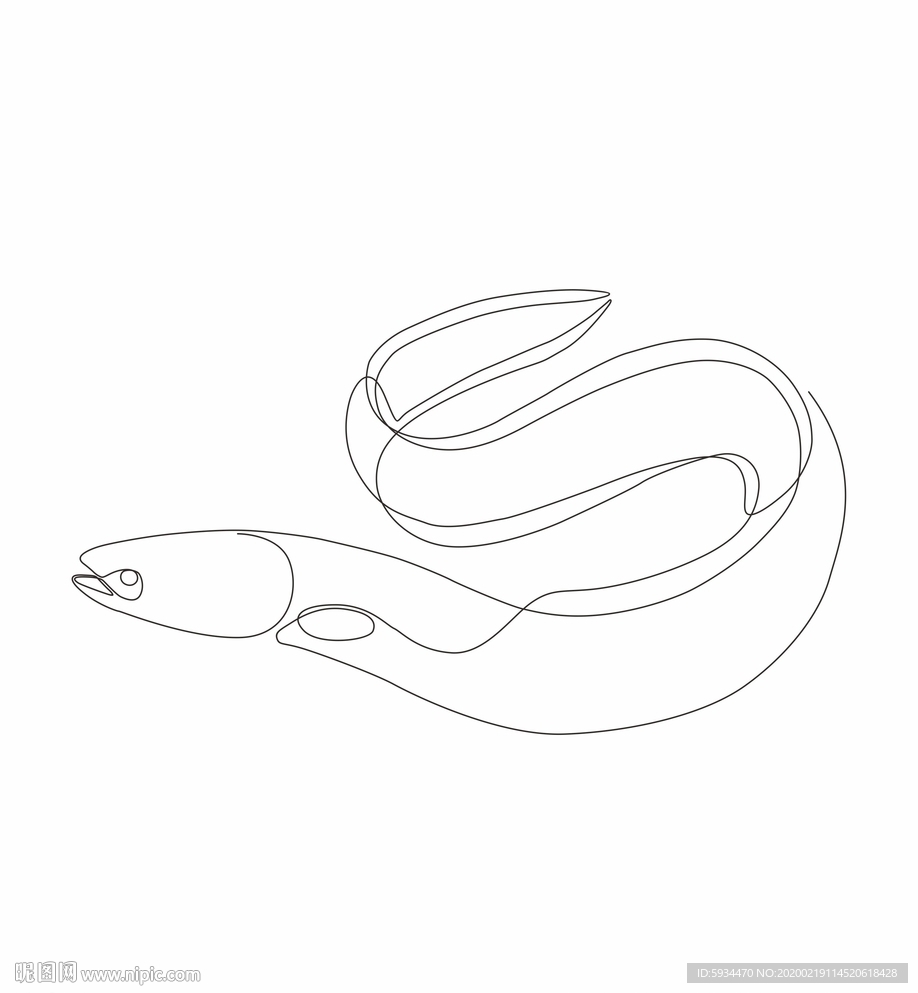 鳗鱼矢量线稿