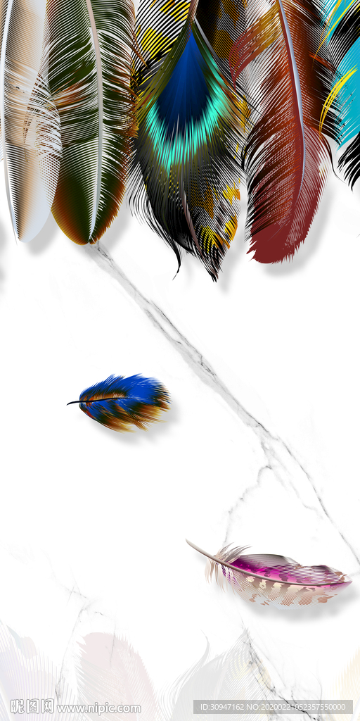 高档羽毛新玄关画 tif分层