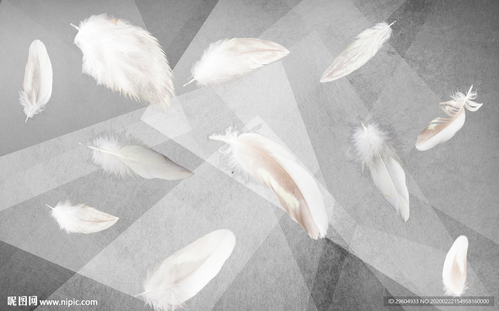 羽毛简约北欧墙画 tif分层