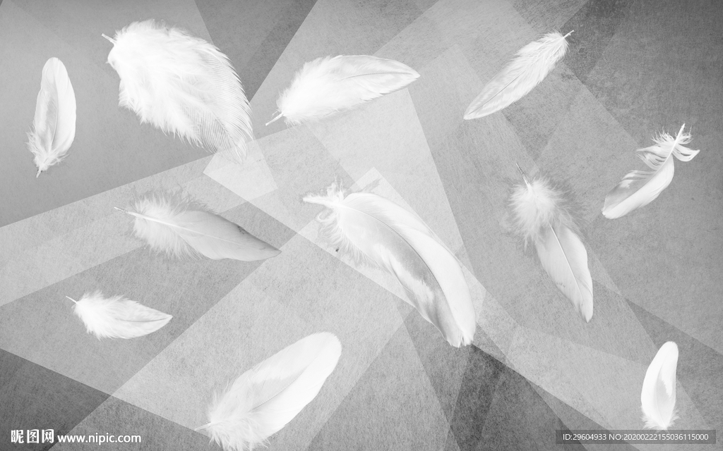 白色羽毛北欧墙画 tif分层