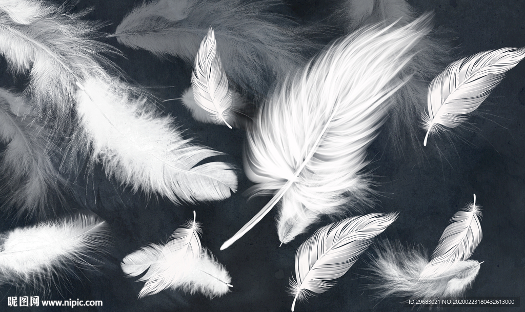 高档羽毛奢华画 tif分层