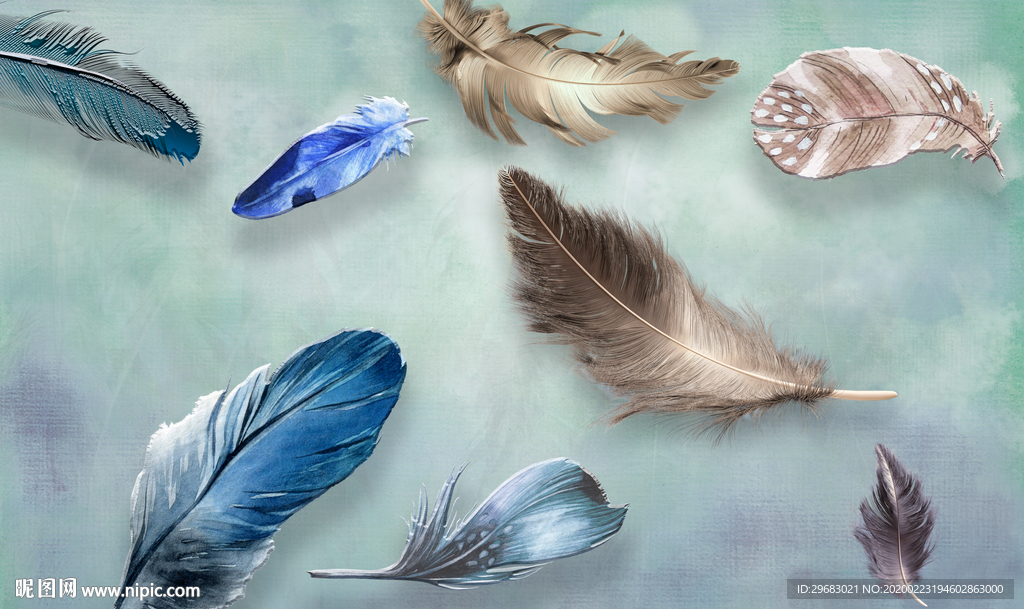 彩色羽毛奢华画 tif分层