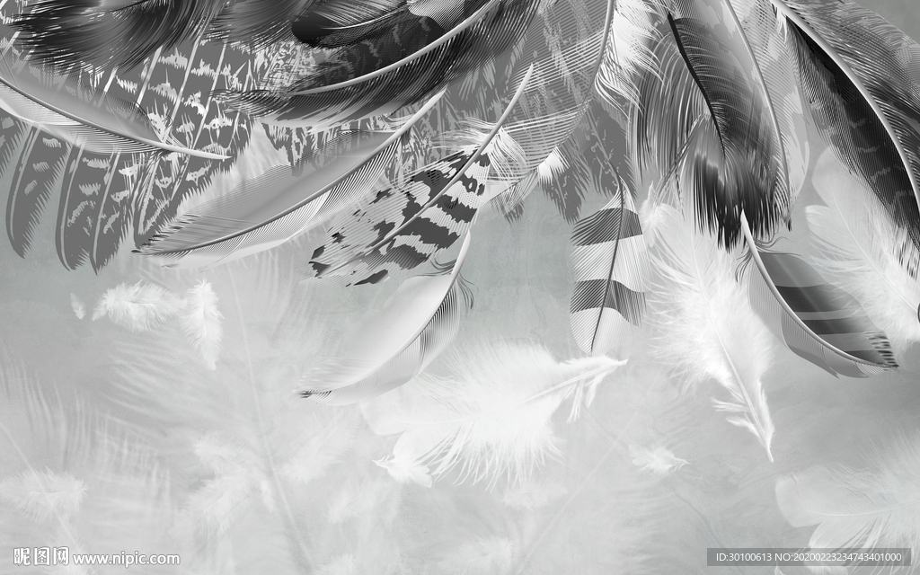 高档羽毛装饰画 TIF分层