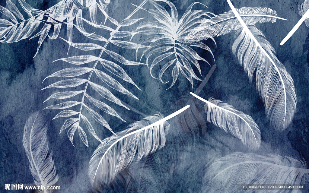 羽毛北欧新装饰画 TIF分层