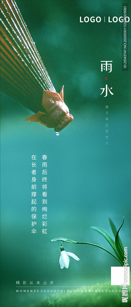 节气  伞  花  水滴