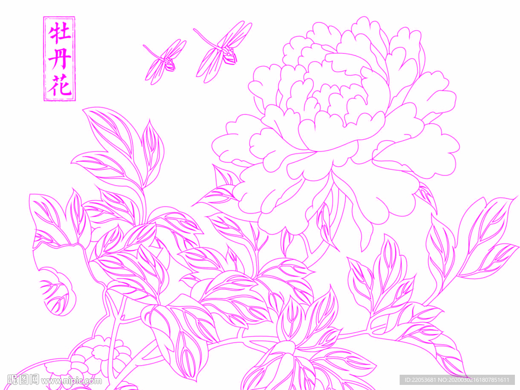 牡丹 牡丹花 国画牡丹 牡丹国