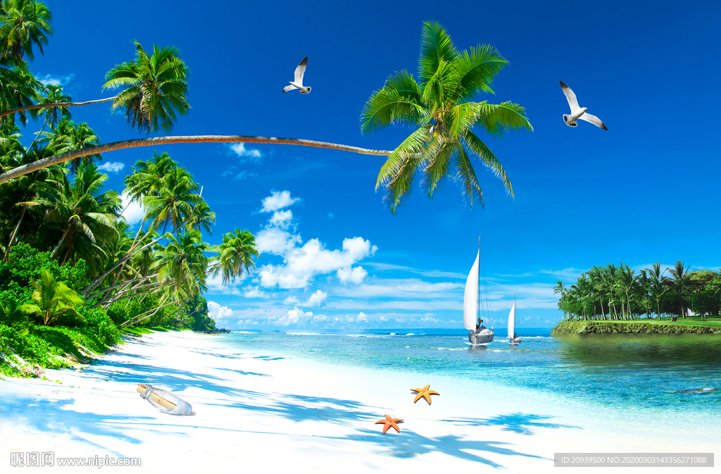 海滩椰树图片