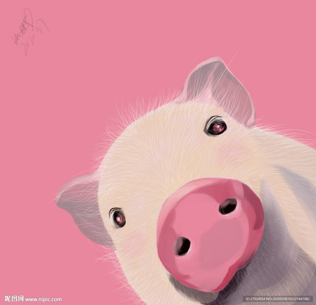 粉色猪猪插画