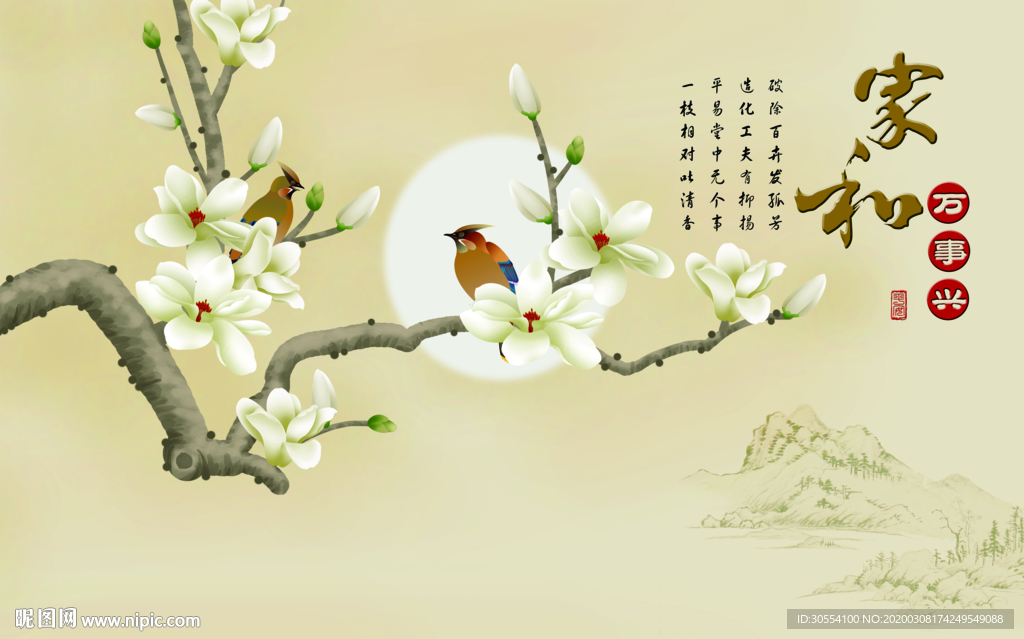 家和-玉兰花图片