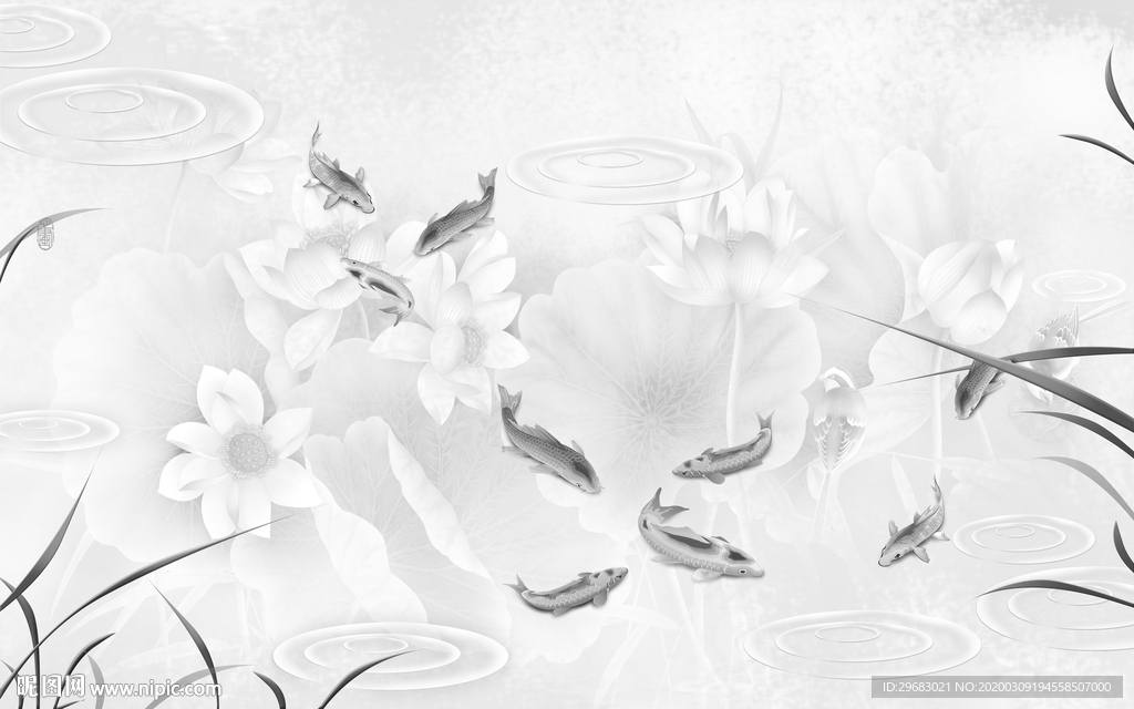 荷花 灰色新画 tif分层