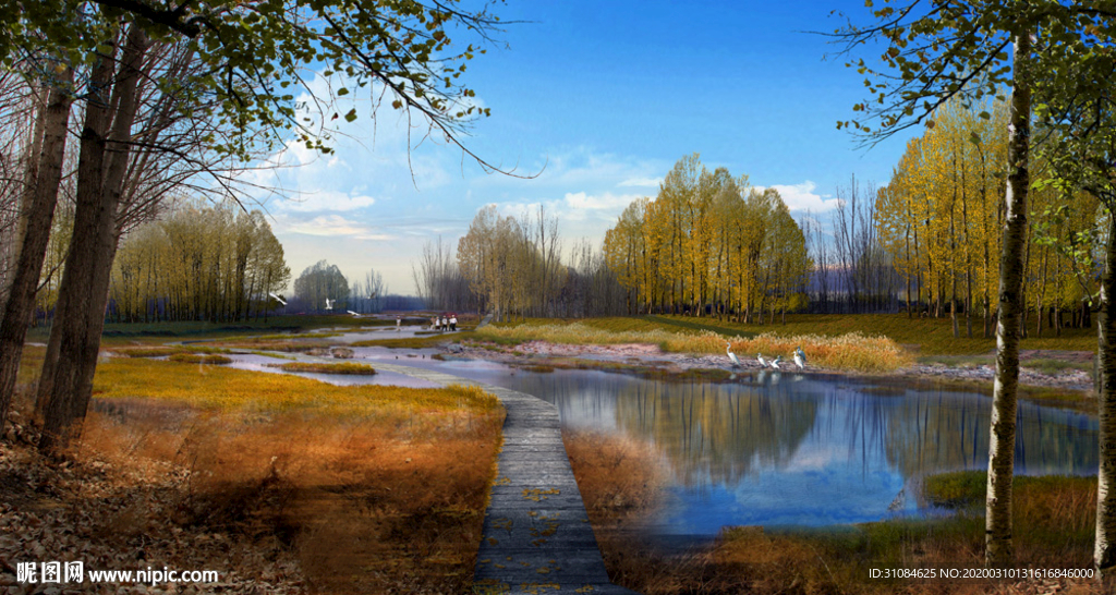 景观效果图湿地效果图景观设计