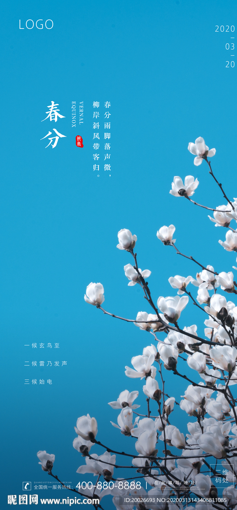 春分 清明 白玉兰