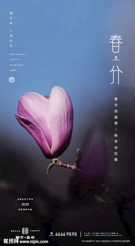 春分 春分微信 地产