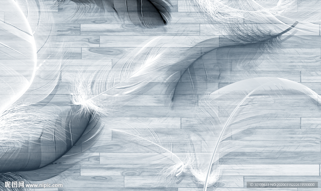 高档羽毛新背景墙 TIF分层