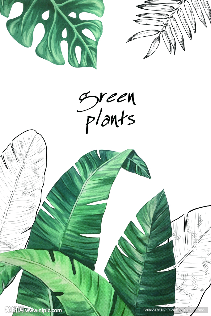 装饰画龟背叶棕榈叶分层图