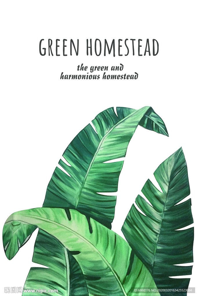 装饰画龟背叶棕榈叶分层图995