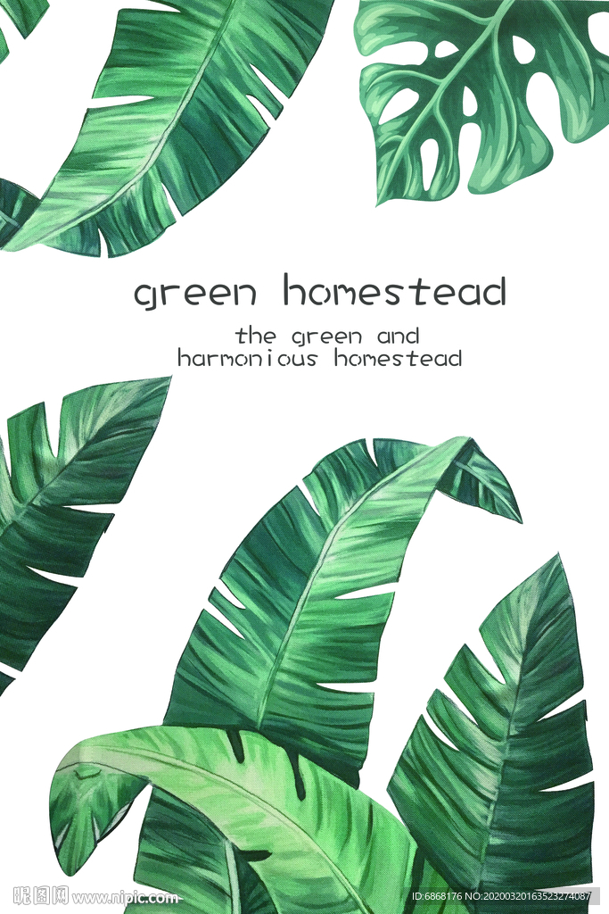 装饰画龟背叶棕榈叶分层图