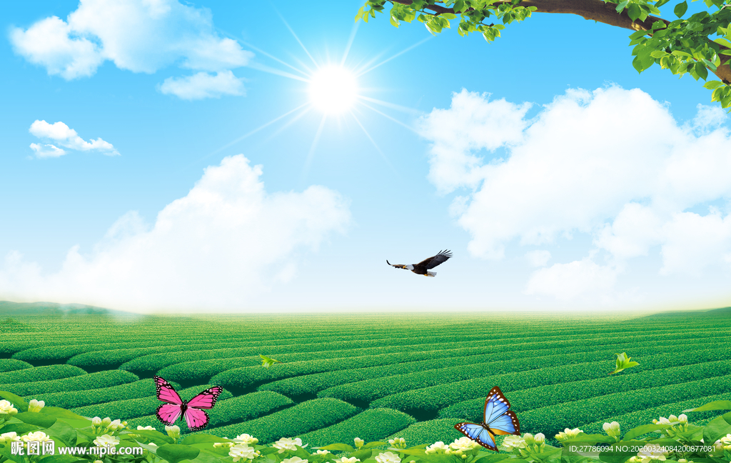 茶叶 茶山 蓝天白云