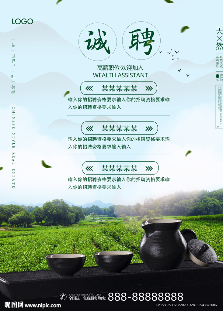 茶招聘