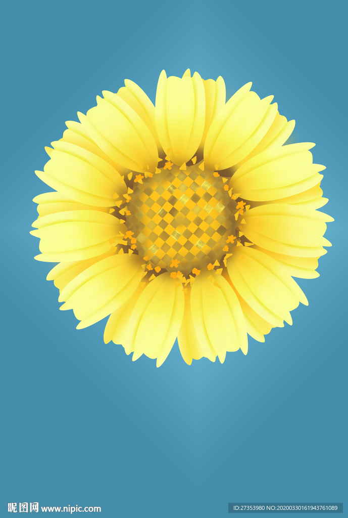 绽放中的太阳花