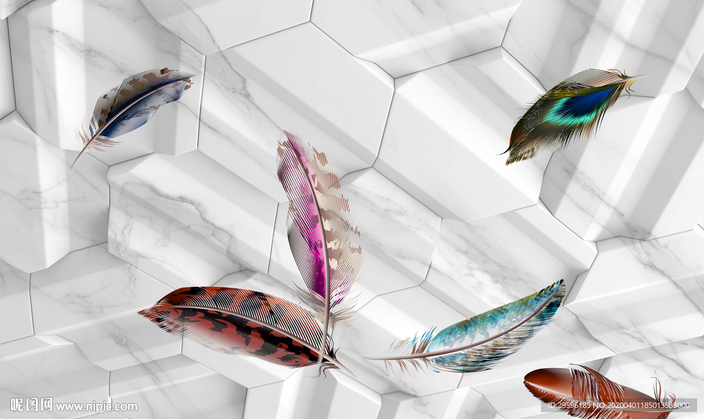 羽毛欧式新无框画 tif分层