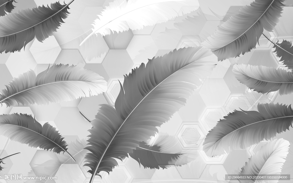 羽毛简约无框画 tif分层 背