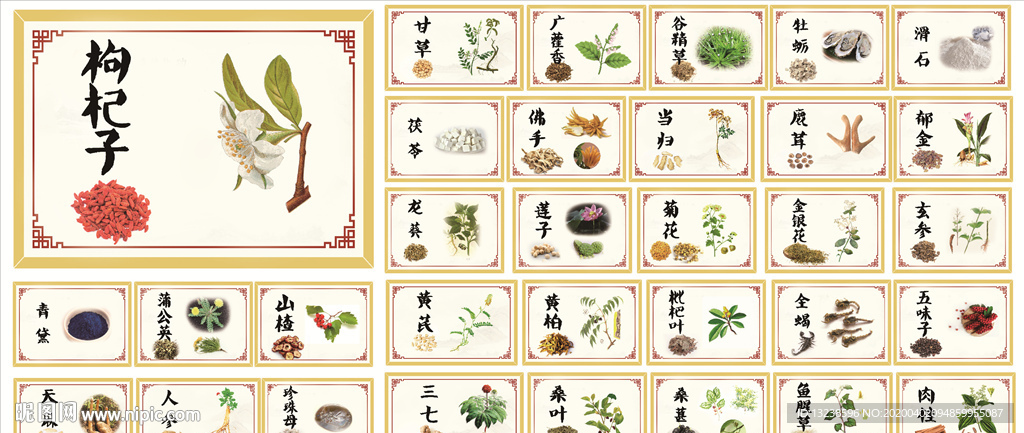 中草药 中医海报 36种