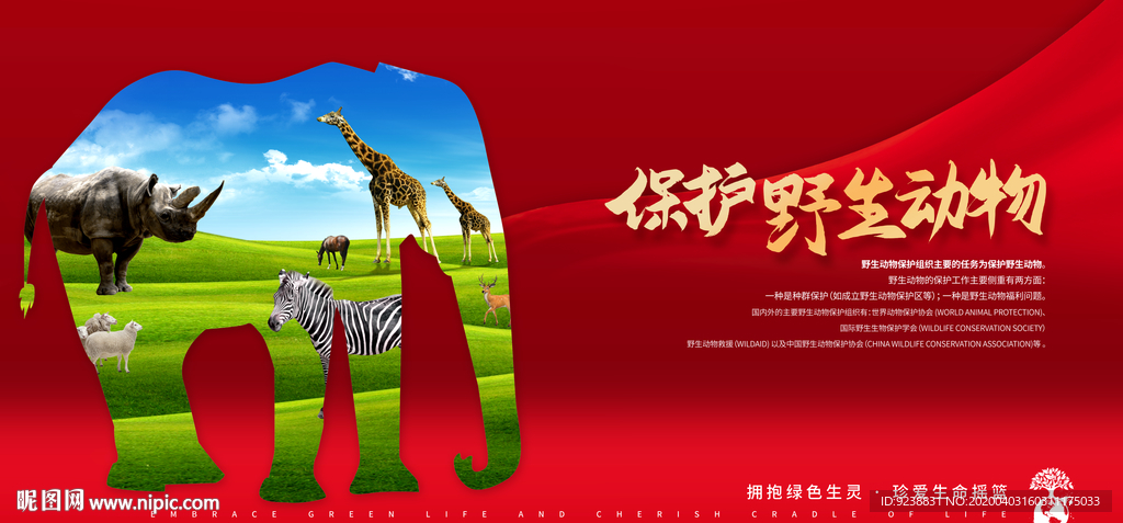 保护野生动物