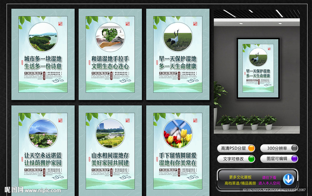 湿地保护 宣传展板