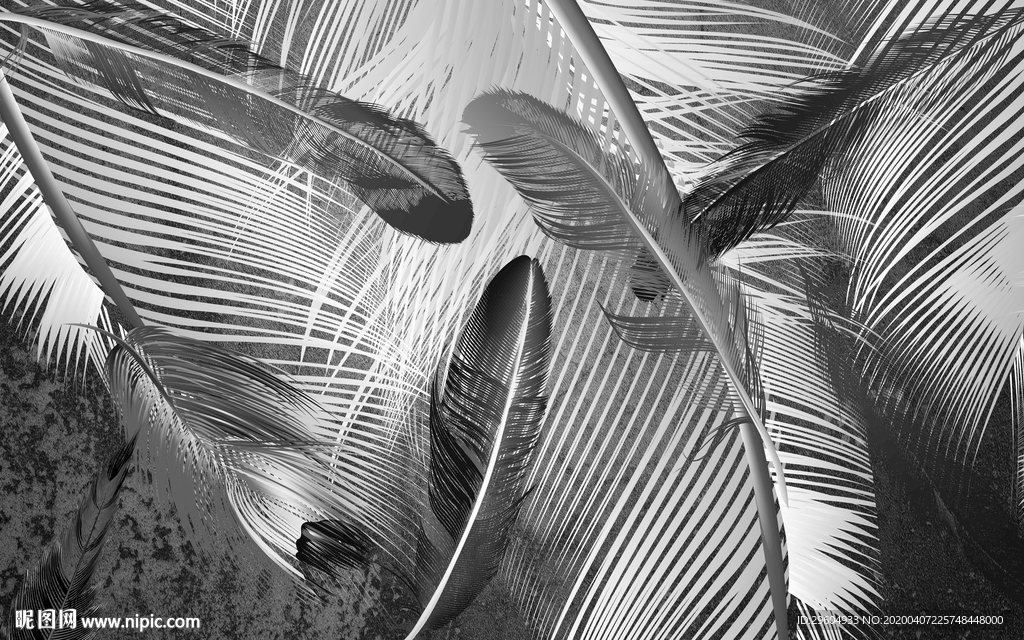 羽毛奢华新无框画 tif分层