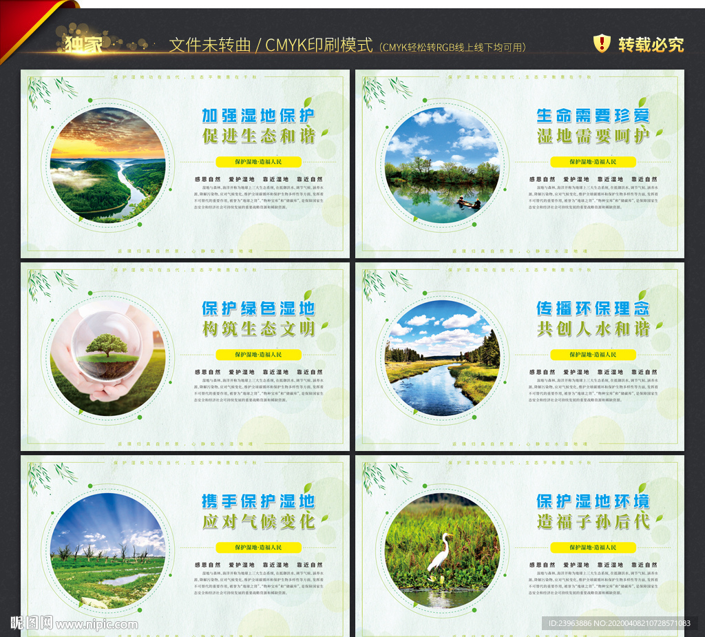 湿地保护 宣传展板