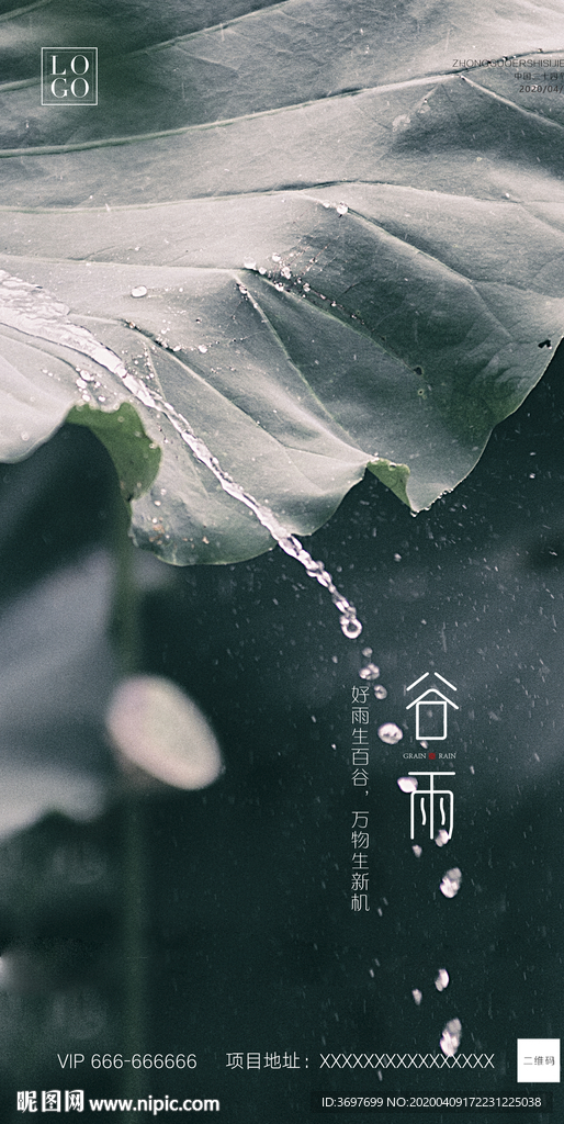谷雨海报