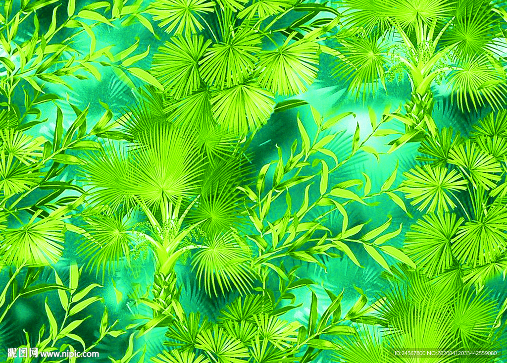 数码印花 热带植物 棕榈树叶