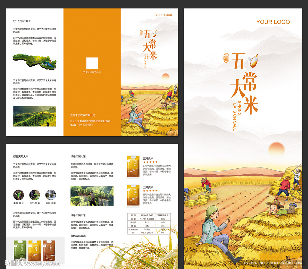 五常大米促销宣传三折页设计