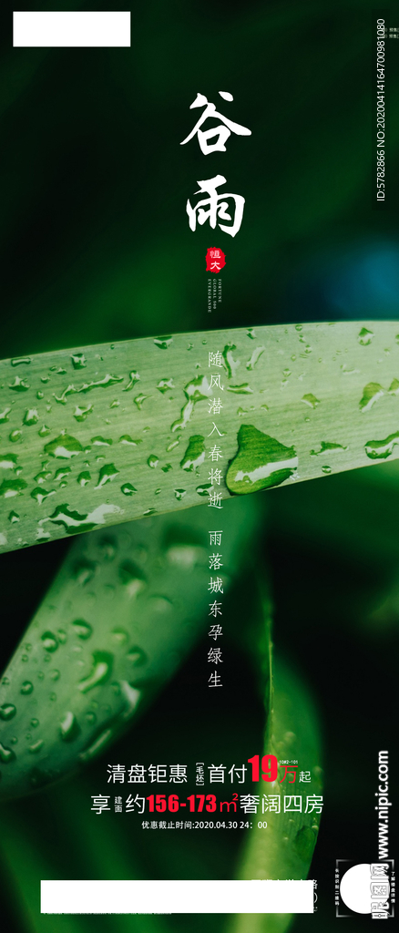 绿叶 谷雨 24节气 恒大 地
