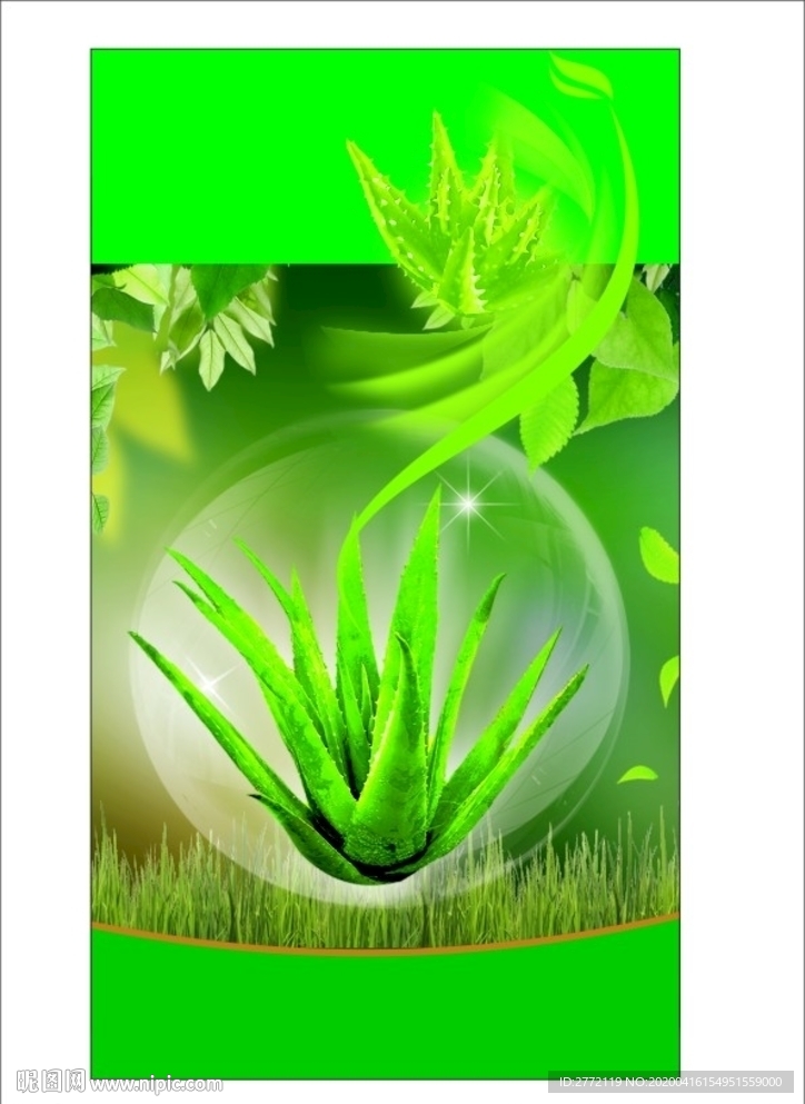 芦荟宣传单