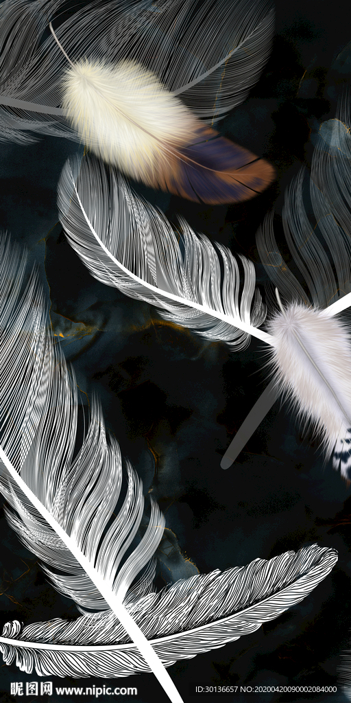 高清羽毛玄关画 TIF分层