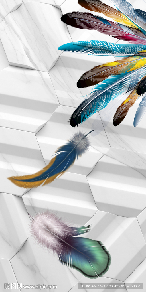 羽毛家装玄关画 TIF分层