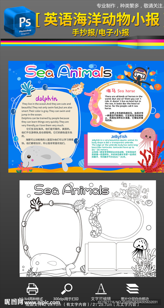 我喜欢海洋动物英语小报手抄报