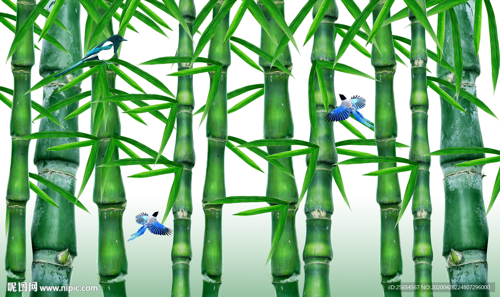 清晰唯美竹林电视背景墙