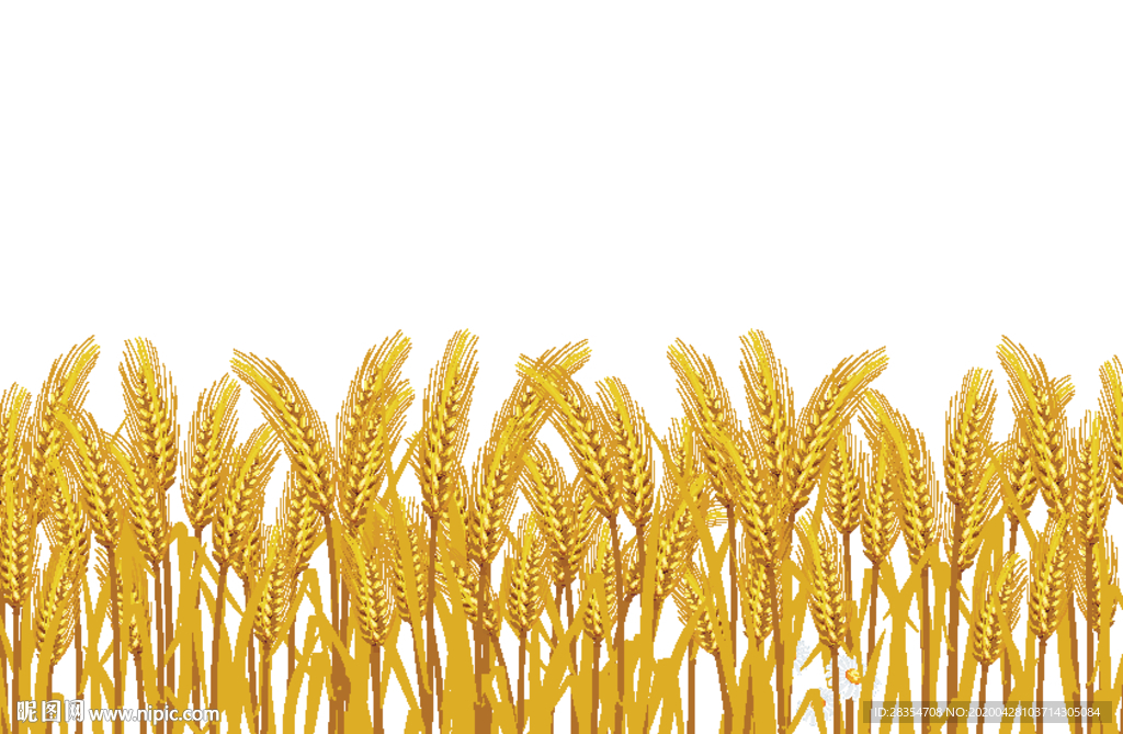 麦穗 简约 设计 大牌